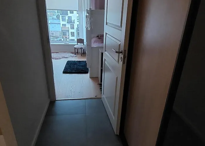Lauluvaeljak 3room Apartmán *